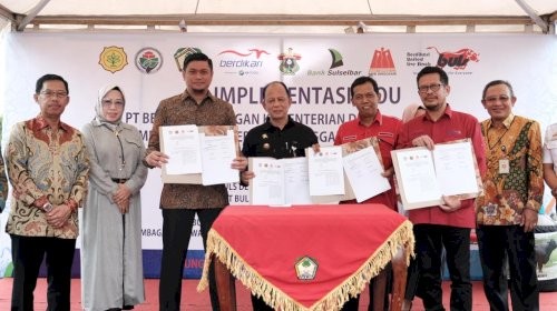 Kementan dan PT Berdikari Kembangkan Sapi Wagyu di Gowa