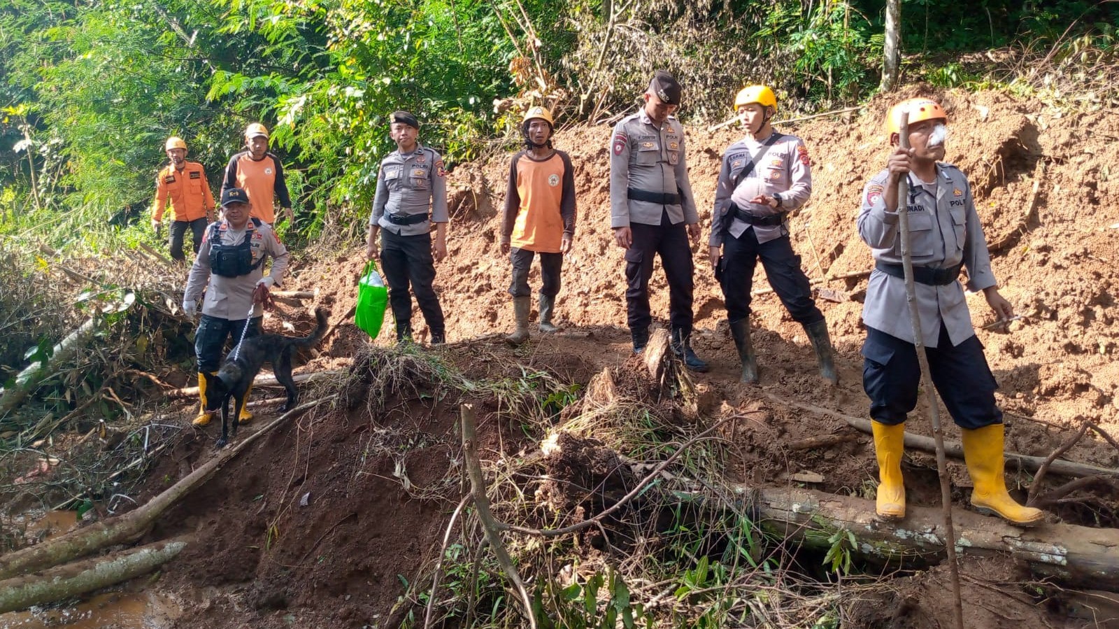 Polri Cari Korban Gempa Cianjur yang Sempat Memanjat Pohon dan Minta Tolong