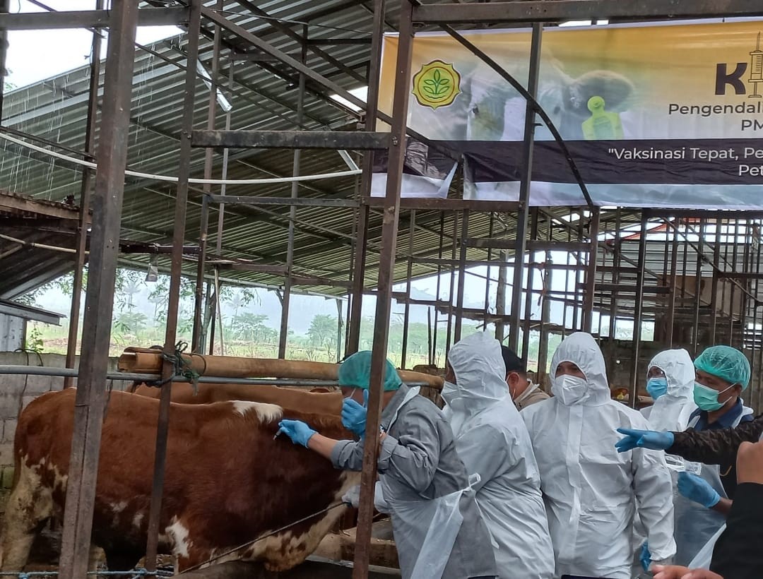 Tahun Ini, Pemprov Jateng Targetkan Vaksin 2,4 Juta Ternak