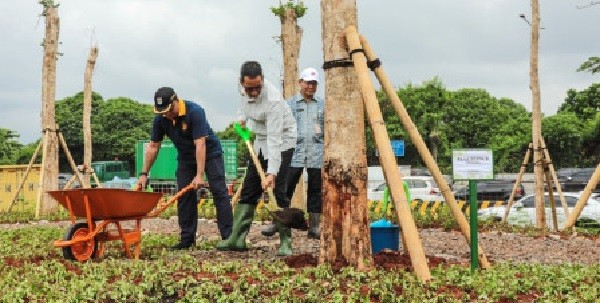 Jelang KTT ASEAN 2023, Pemprov DKI Lakukan Penghijauan di Sepanjang Sisi Jalan Tol