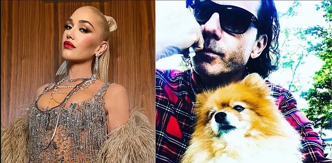 Demi Hak Asuh Anjing Tua, Gwen Stefani Mantan Bertempur Sengit 