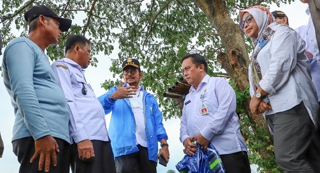 Tinjau Sawah yang Banjir, Mentan Bakal Lakukan Tiga Langkah Penanganan 