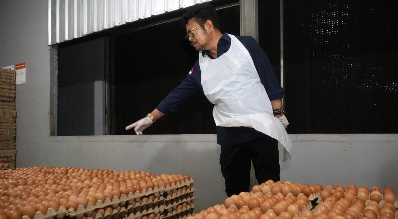 Pantau Ketersedian Telur, Mentan Pastikan Kebutuhan Lebaran Aman