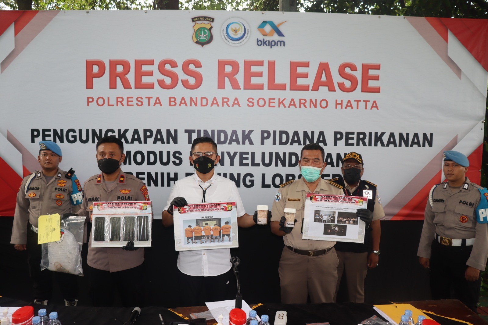 Polresta Bandara Soetta Gagalkan Penyelundupan Ribuan Bibit Lobster Senilai Rp 4,1 Miliar