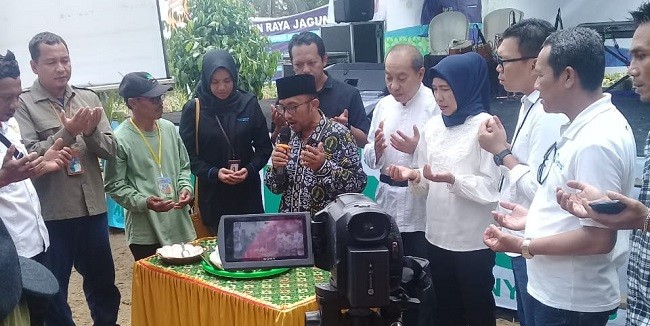 Dukung Panen Raya Jagung di Banyumas, HPN: Sangat Baik untuk Bantu Petani