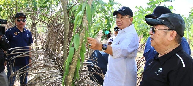 Ketua MPR RI Dukung Pembangunan Perkebunan dan Pembibitan Vanili Terbesar Dunia di Tanjung Lesung