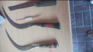 Hendak Tawuran, Tiga Remaja yang Bawa Senjata Tajam Diamankan Polsek Kembangan
