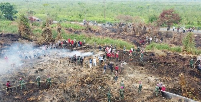 Temukan 7.376 Titik Api Konsesi Sawit  Kalbar, Walhi: Penangung Jawabnya Gak Diproses