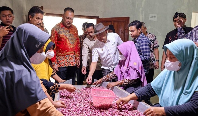 Teten: Hilirasi Bawang Merah Jadi Solusi Jitu Tingkatkan Kesejahteraan Petani Brebes
