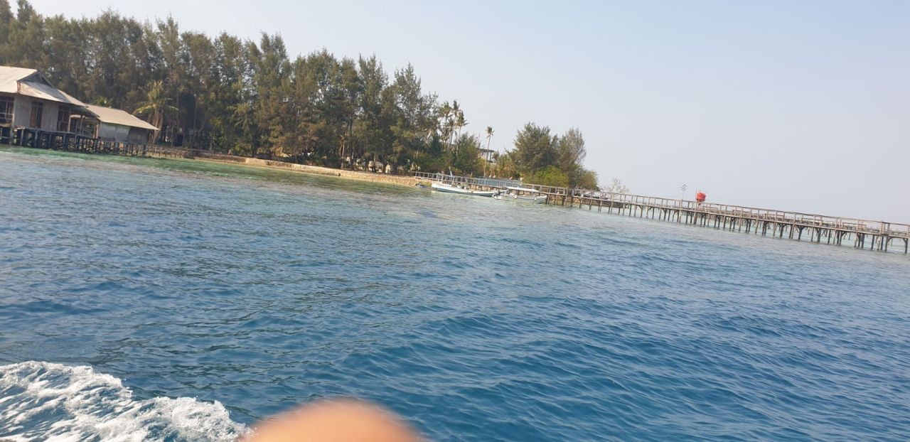 Dugaan Illegal Logging di Pulau Tengah Karimunjawa Catut Nama Petinggi Penegak Hukum
