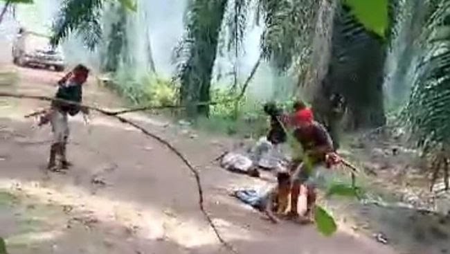 Partai Buruh Minta Usut Bentrokan di Seruyan, Kembalikan Hak Atas Tanah kepada Rakyat
