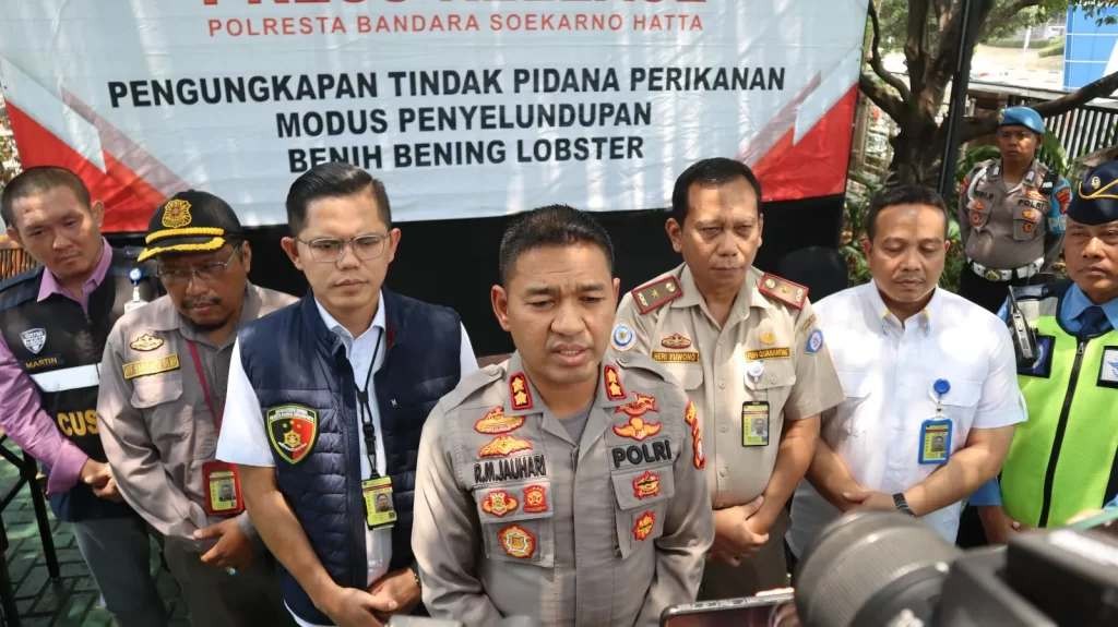 Polresta Bandara Soetta Gagalkan Penyelundupan Benih Bening Lobster Senilai Rp 11 Miliar