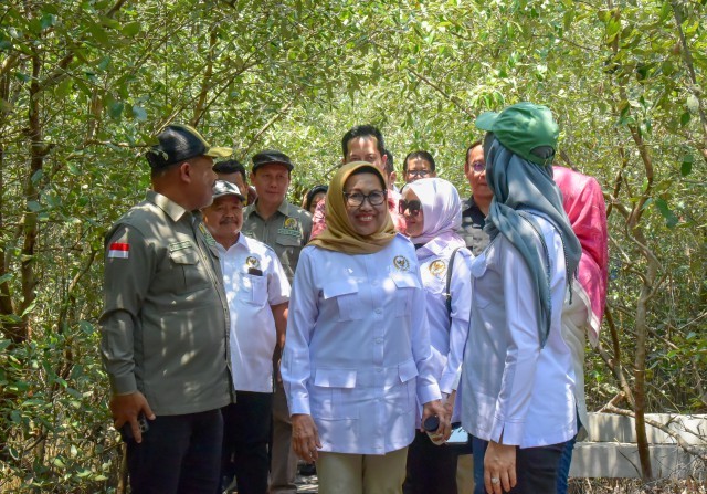 Hilirisasi Produk Mangrove Bisa Jadi Alternatif Buka Lapangan Kerja