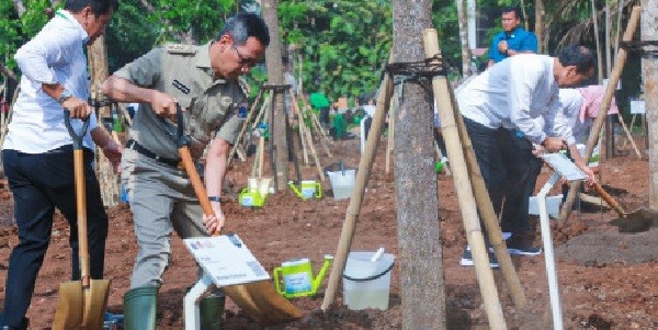 Antisipasi Perubahan Iklim, Heru Bersama Jokowi Tanam Pohon di Hutan Kota