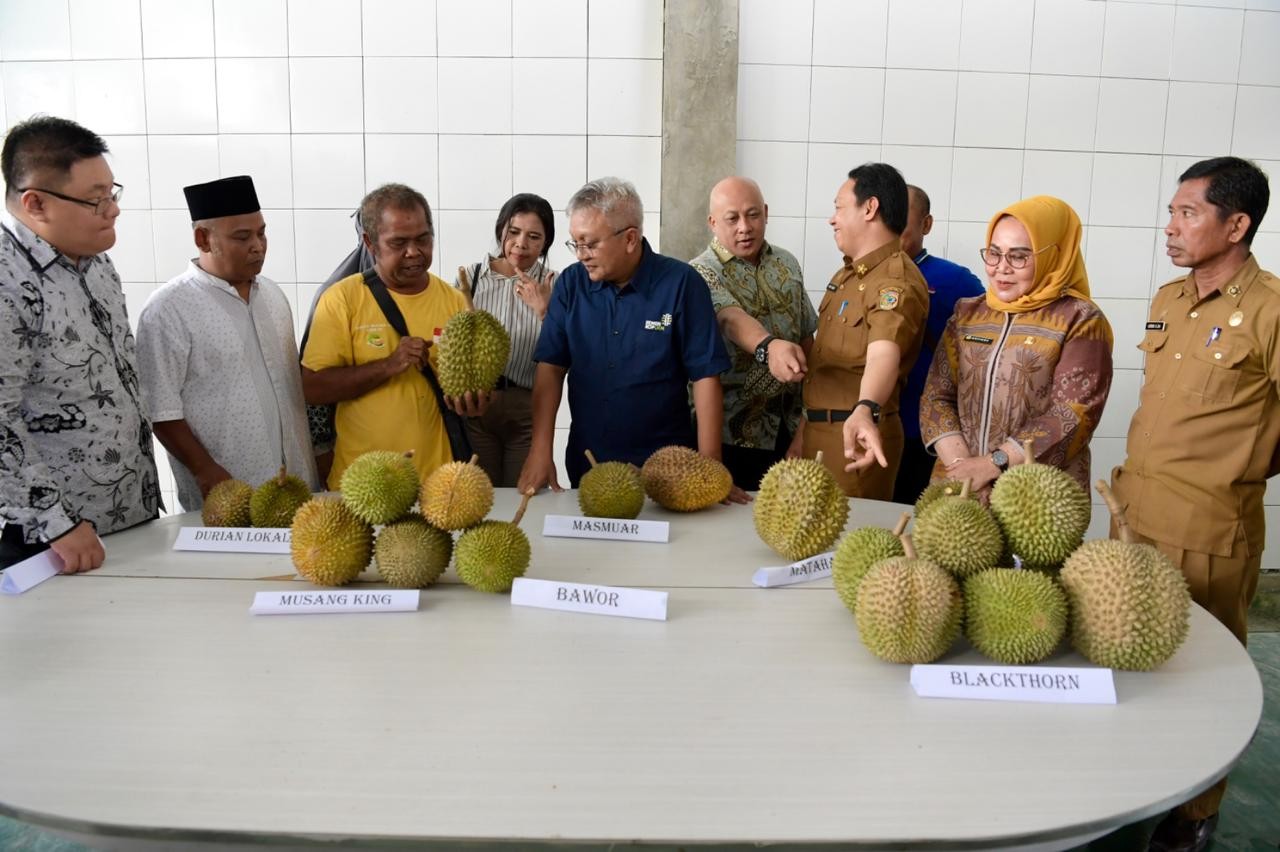 Kemenkop-APDURIN Kolaborasi Kembangkan Ekspor Durian Parigi Moutong