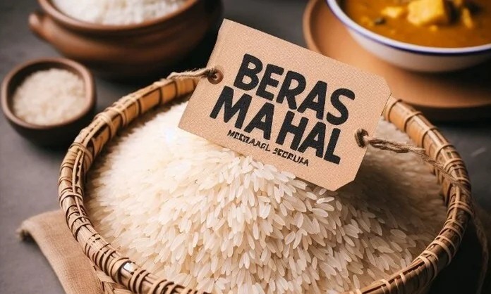 Beras Langka dan Mahal, Disebabkan Kebijakan Bansos Ugal-ugalan