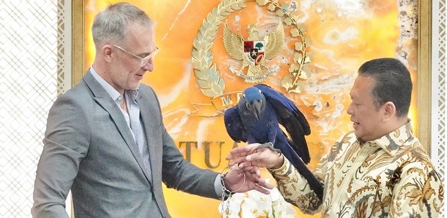 Terima CEO AMGI, Ketua MPR RI Dukung Kerjasama Pembangunan RS Internasional