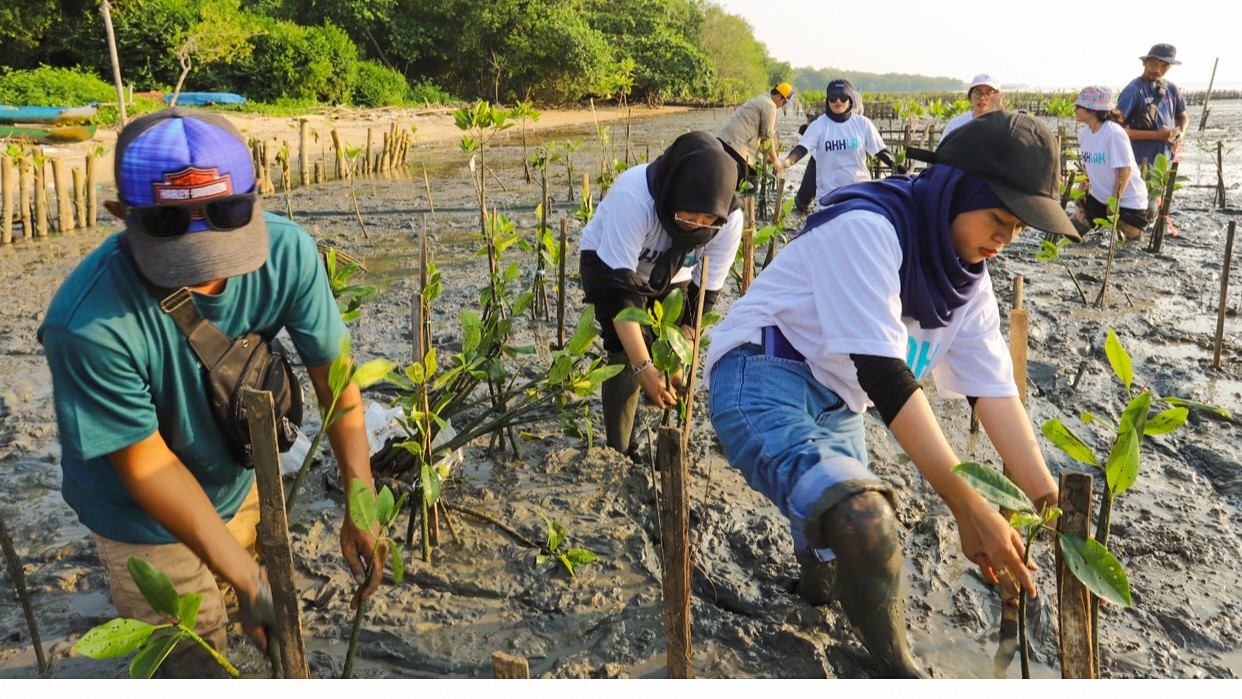 Pelindo Lakukan Penyulaman 20.000 Bibit Mangrove di Desa Bancaran, Bangkalan