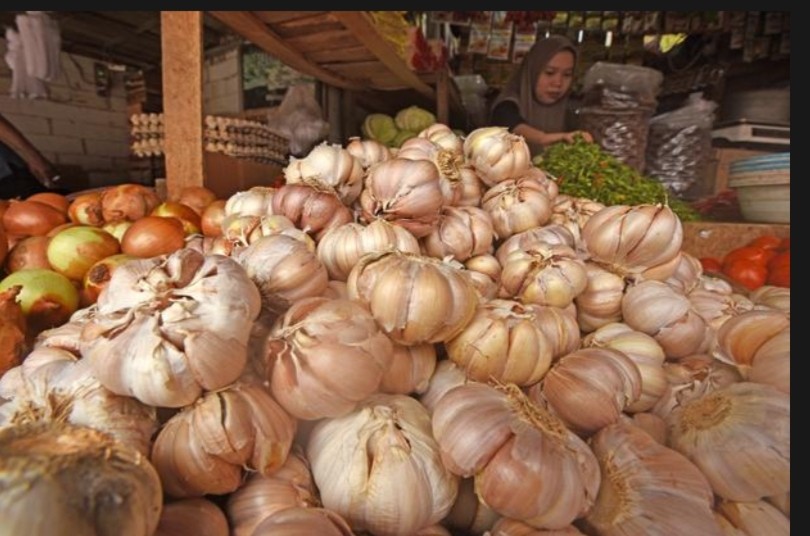 DPR Minta KPPU Investigasi Penyebab Harga Bawang Putih Belum Turun
