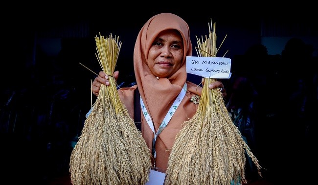 Resmikan Rice Mill Plant, Teten Dukung Konsolidasi Pengelolaan Hasil Pertanian