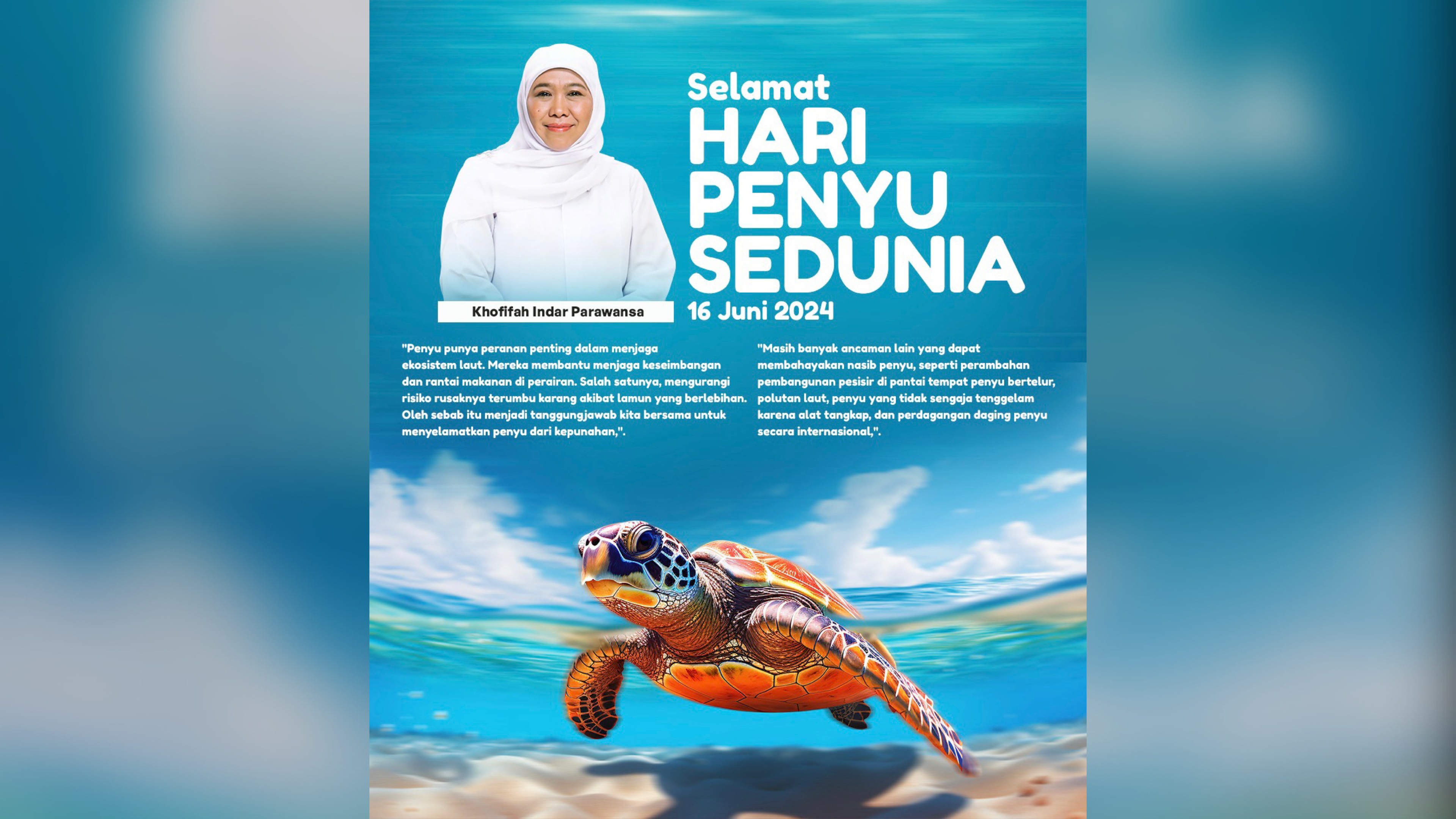 Hari Penyu Sedunia, Khofifah Ajak Masyarakat Selamatkan Penyu dari Ancaman Kepunahan