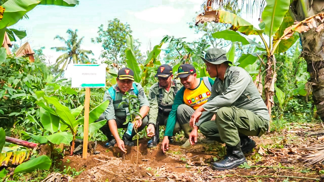 Wujudkan Kepedulian Lingkungan, PLN Gelar Aksi Tanam Ribuan Pohon di Banyuwangi dan Sumenep