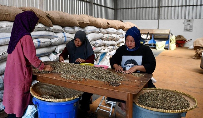 Punya Potensi Besar, Akses Permodalan Koperasi Produsen Bakal Terus Diperluas