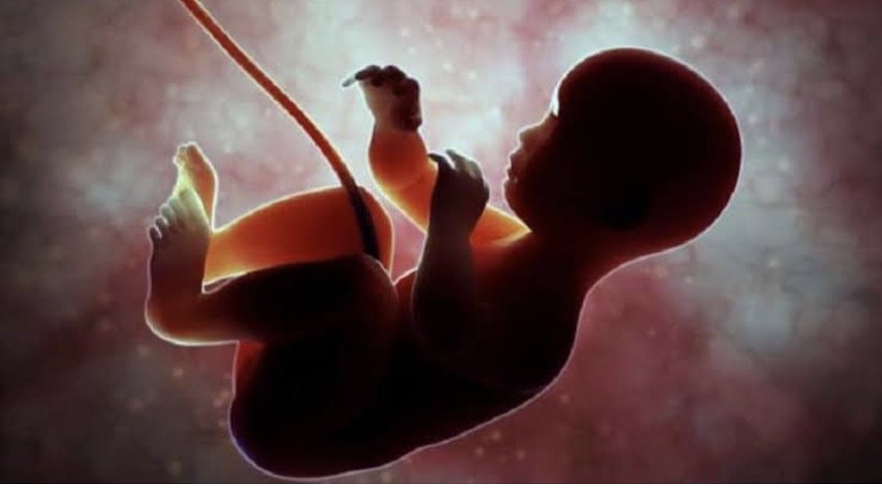 Aborsi Bagi Korban Pemerkosaan Menurut Dosen Hukum Pidana Unair
