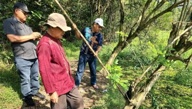 Kementan Lakukan Panen Raya Saat Bunex 2024