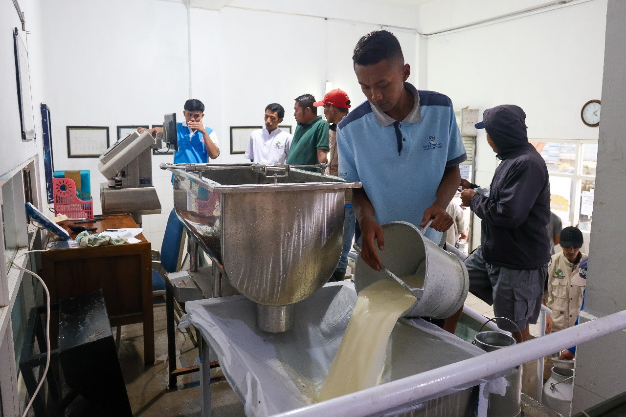 KPSP Setia Kawan: Miliaran Rupiah dari Hasil Memerah Susu Sapi
