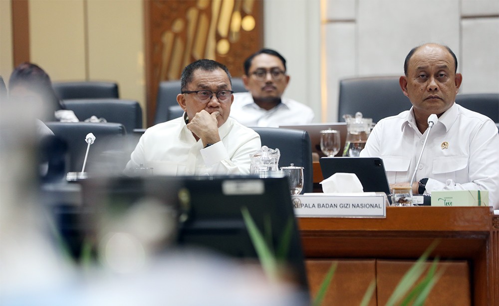 Badan Gizi Nasional RDP Dengan Komisi IX DPR