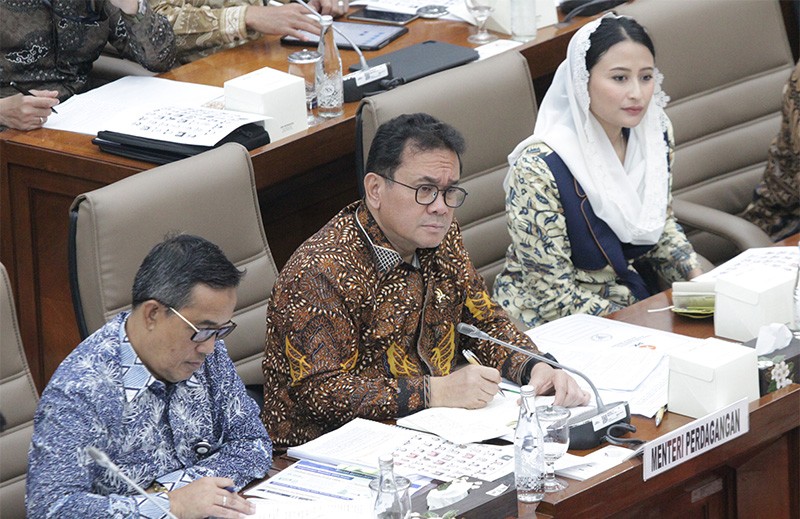 Mendag Raker Dengan Komisi VI DPR