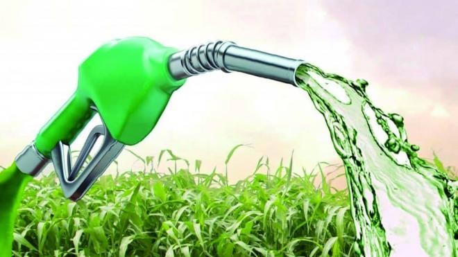 Kebijakan Cukai dan Bioetanol: Menuju Ekonomi Hijau yang Berkelanjutan