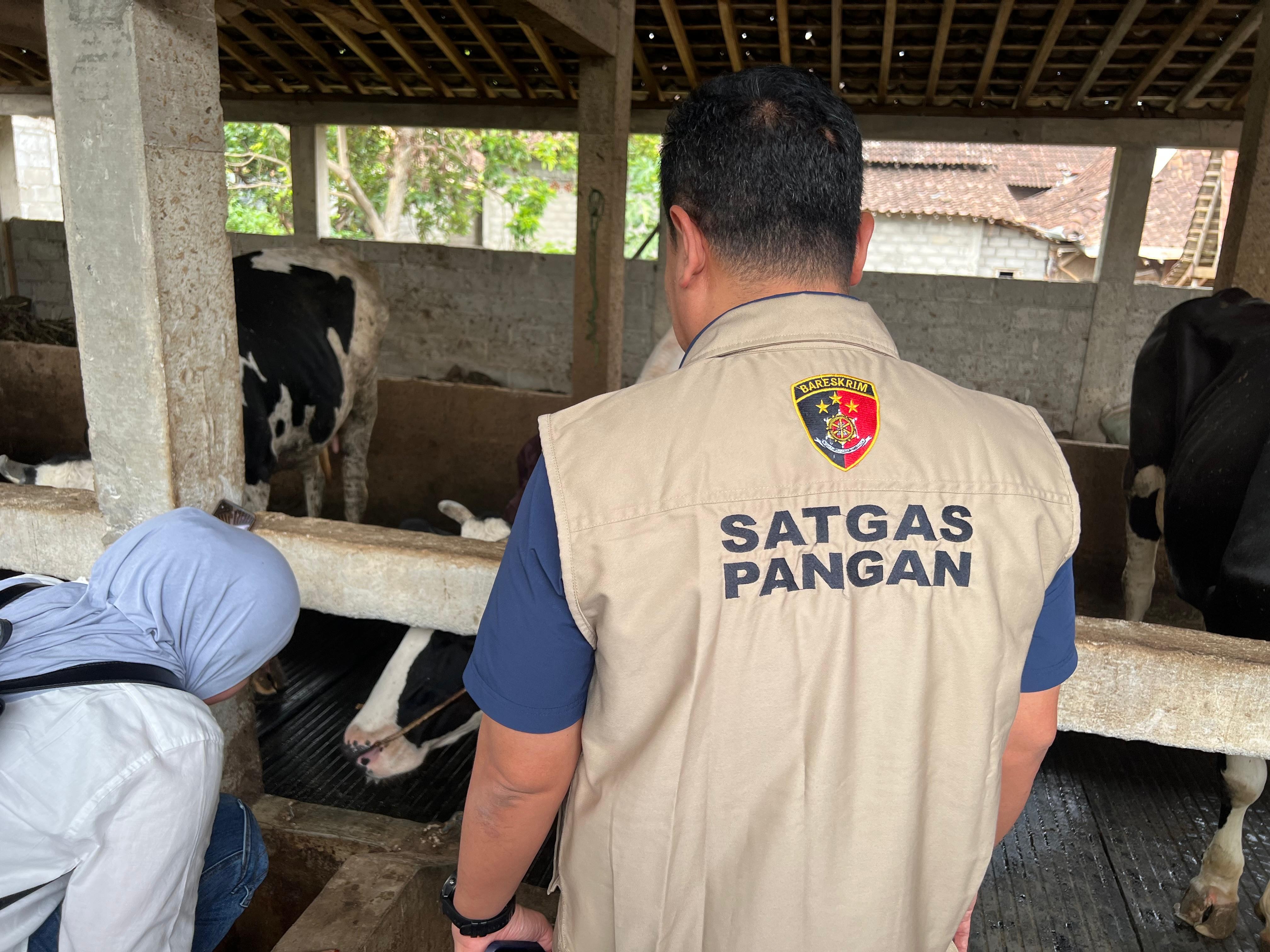 Kementan Gandeng Satgas Pangan Polri Awasi Penyerapan Susu Segar