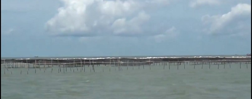 MITI Minta Pemerintah Bongkar Pagar Laut Ilegal di Banten