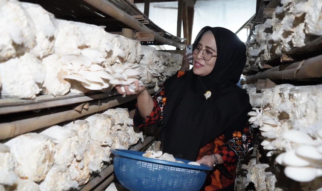 Kunjungi Kelompok Tani Binaan Dinas Kehutanan, Siqom Apresiasi Kreatifitas UMKM Olahan Jamur