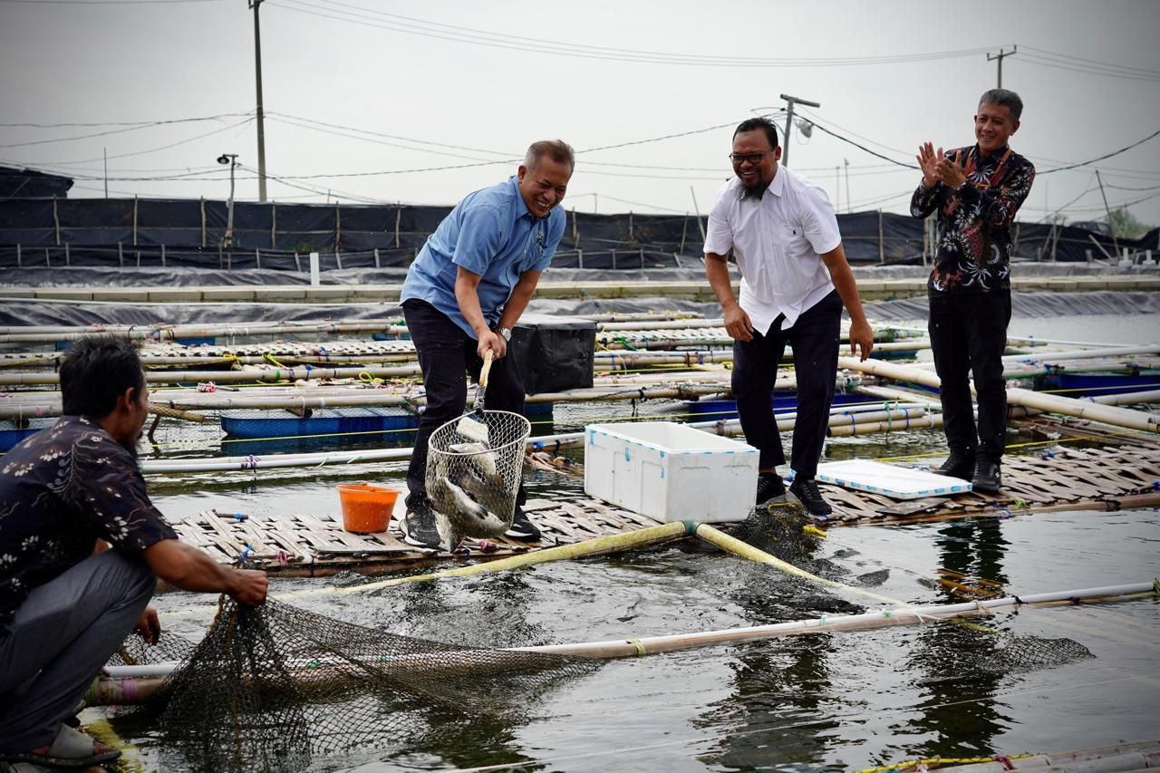 Panen Perdana Ikan, Wamenkop: Bukti Koperasi Terlibat Wujudkan Ketahanan Pangan