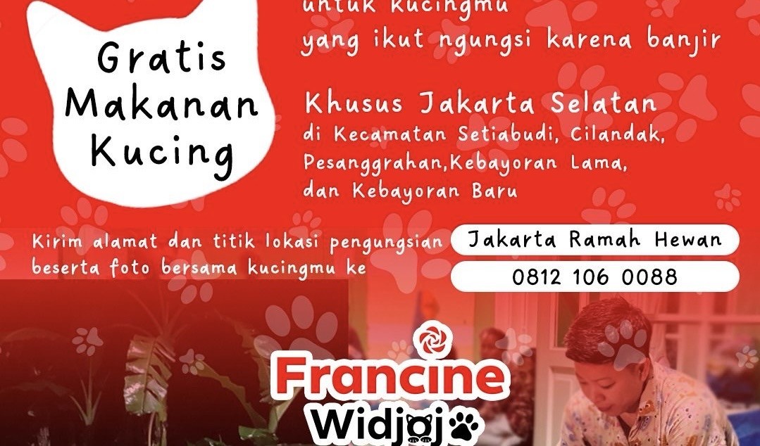 Bukan Cuma Manusia, PSI Juga Bantu Kucing Korban Banjir
