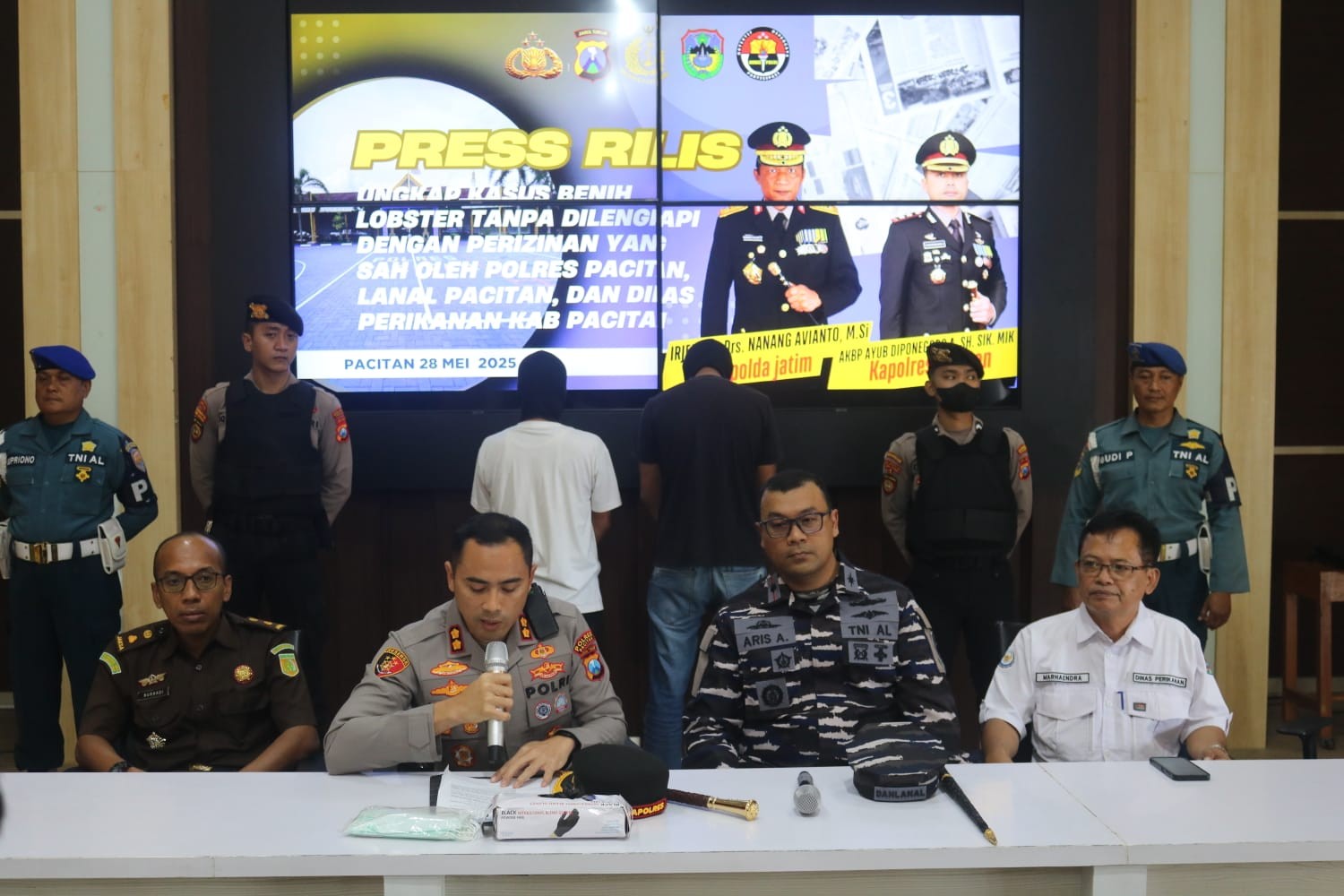 Polres Pacitan Lepas Bebaskan Puluhan Ribu Benih Lobster Usai Ungkap Kasus Penyelundupan Benur Ilegal