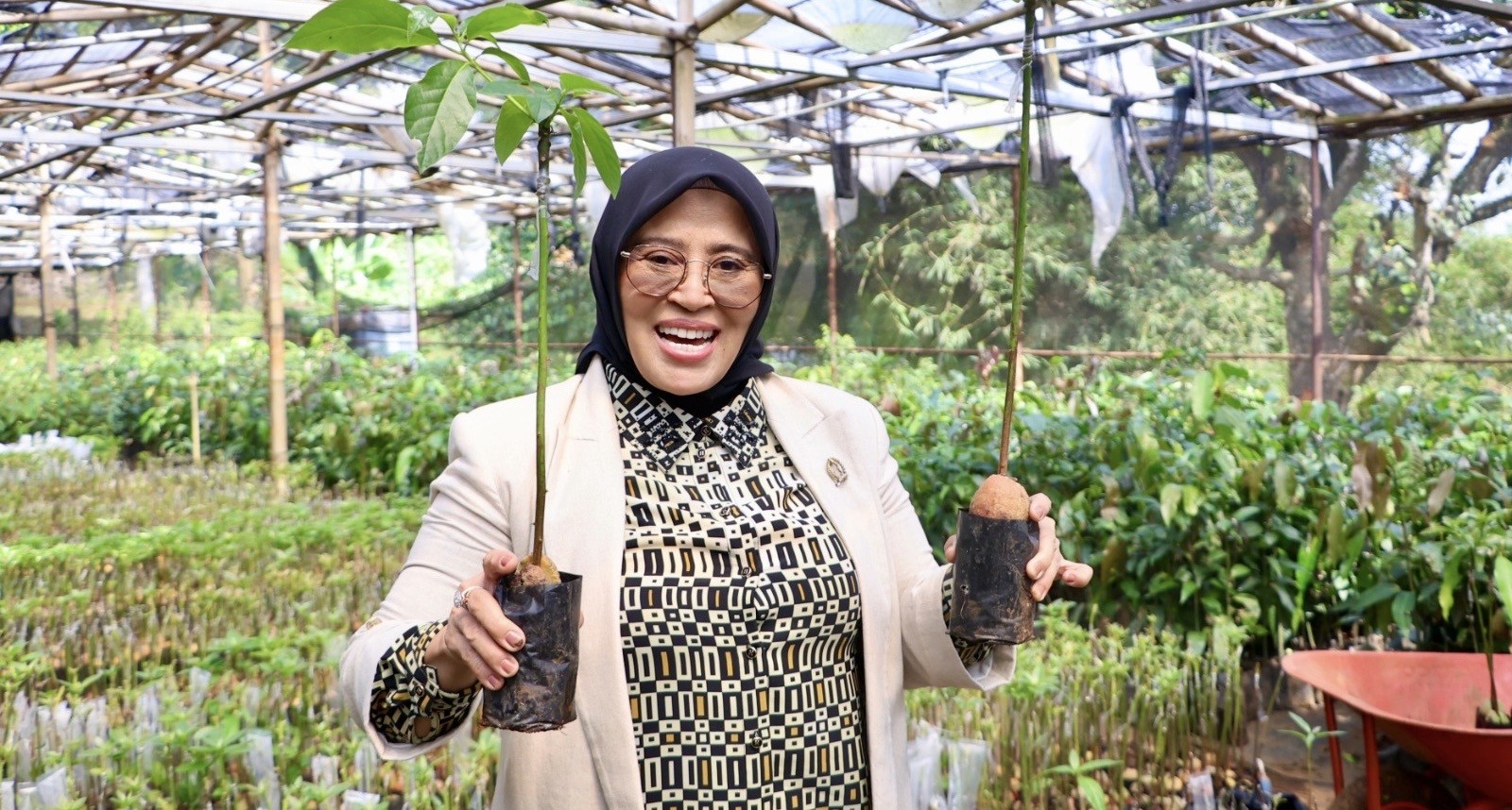 Siqom: Aset Pertanian Harus Jadi Penggerak Kesejahteraan Petani Lokal