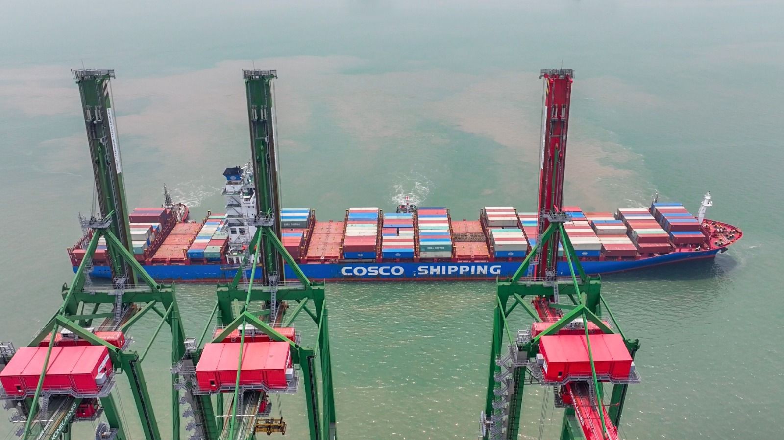 COSCO Buka Rute Baru ke Nava Sheva, Terminal Teluk Lamong Jadi Pintu Masuk Utama