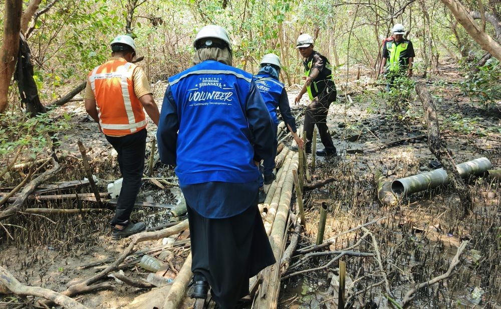 TPS Perkuat Komitmen ESG melalui Pelestarian Ekosistem Mangrove Sejak 2010