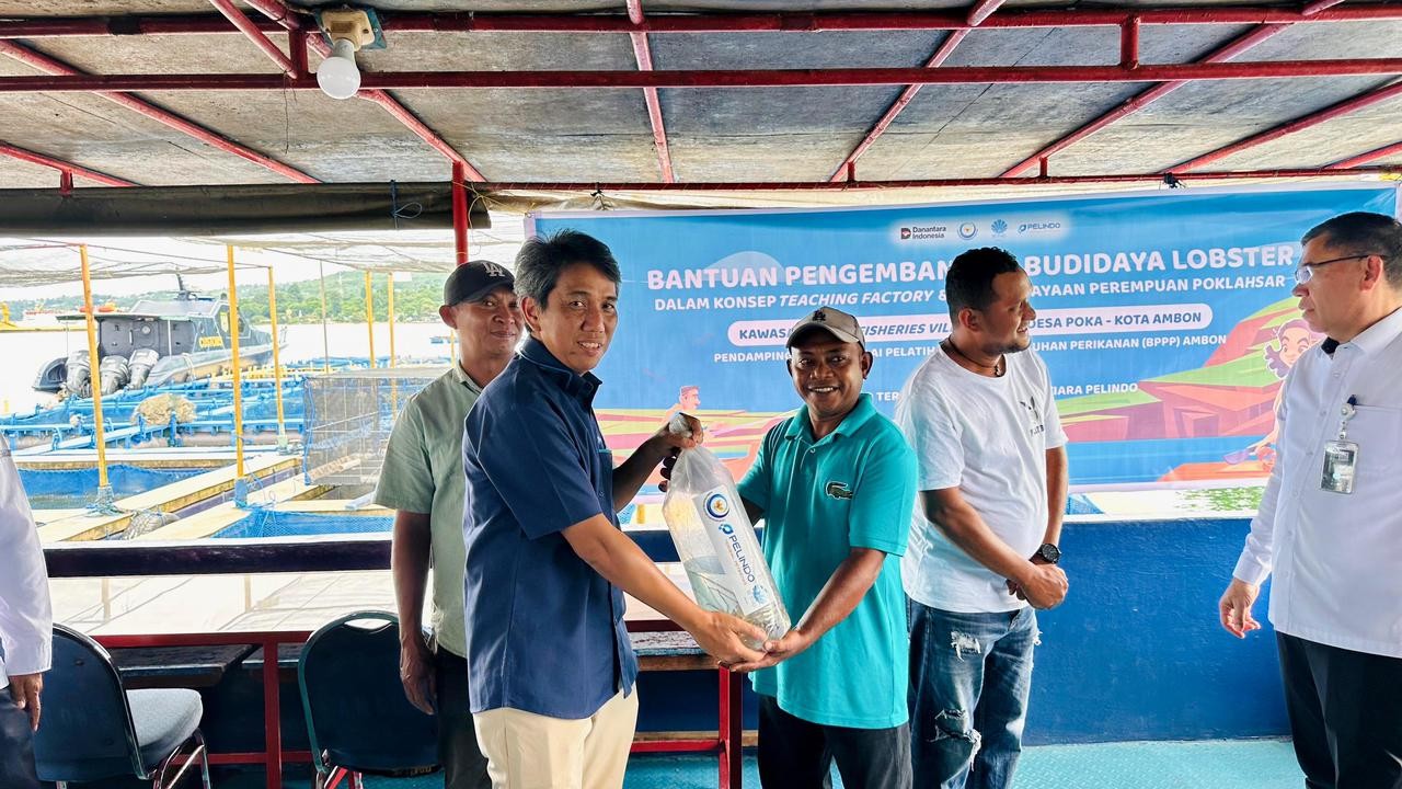 Pelindo Terminal Petikemas Dukung Pengembangan Usaha Budidaya Lobster di Ambon