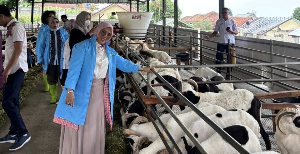 Siti Qomariyah Dorong Pemerataan Bantuan Bibit Ternak bagi Kelompok Ternak di Jabar