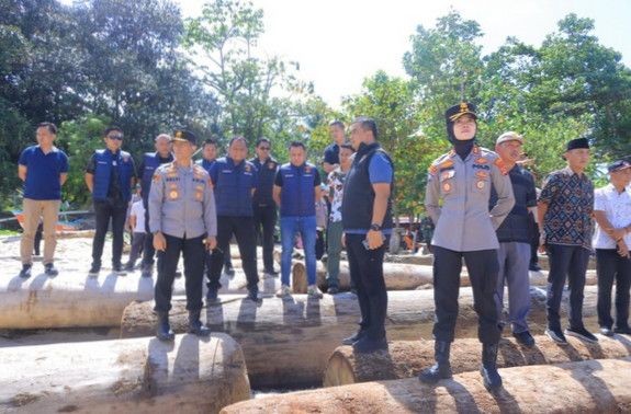 Polda Lampung Cek Langsung Kayu Gelondongan Terhampar di Pesisir Barat