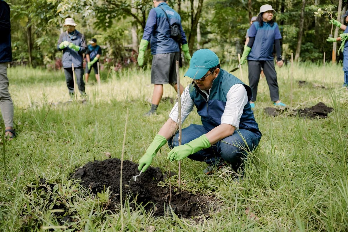 Hijaukan Coban Talun, PT Terminal Petikemas Surabaya Tanam 120 Bibit Pohon Pinus
