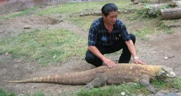 Kenapa Pemindahan Satwa Kebun Binatang Surabaya ke-6 Lembaga Konservasi (LK) Disebut Penjarahan?