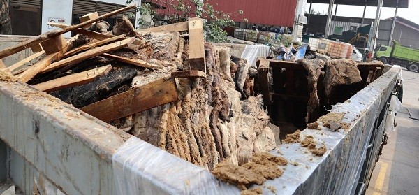 Barantin Musnahkan 129 Ton Kulit Impor Positif PMK dan LSD