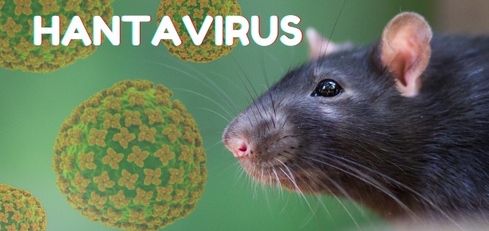 WHO Soroti Klaster Hantavirus di Kapal Pesiar, Ini Lima Perkembangan Terbaru
