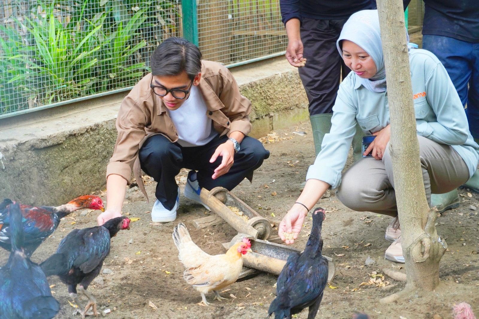 Kolaborasi Lintas Sektor di Malang Raya, Limbah Makanan Hotel Diolah Jadi Pakan Ternak Lewat Gerakan Beyond Waste